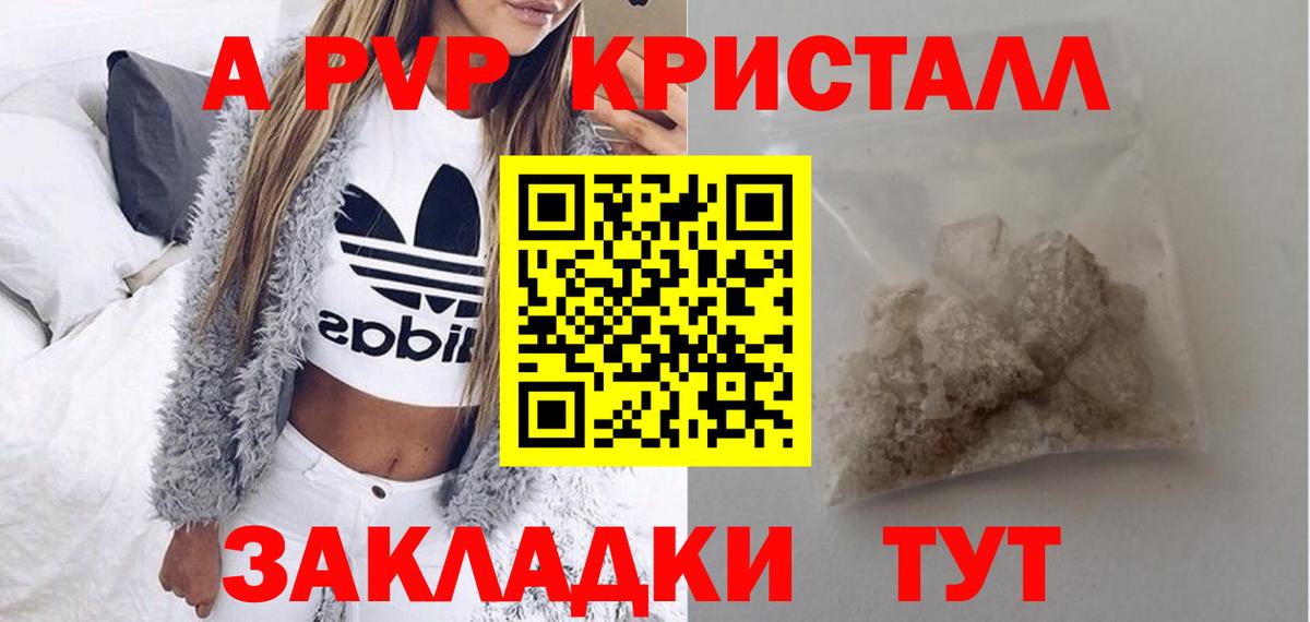 Alfa_PVP СК КРИС Киров