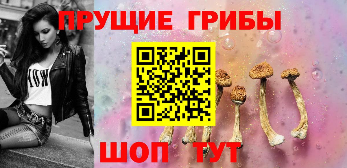 где купить наркоту  Вход с VPN  Киров  Псилоцибиновые грибы GOLDEN TEACHER 